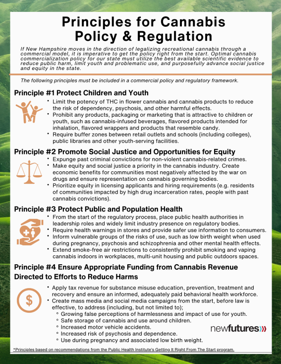 A document listing the Principles, which include: #1 - Protect Children and Youth, #2 Promote Social Justice and Opportunities for Equity, #3 - Protect Public and Population Health, and #4 Ensure Appropriate Funding from Cannabis Revenue is Directed to Efforts to Reduce Harms